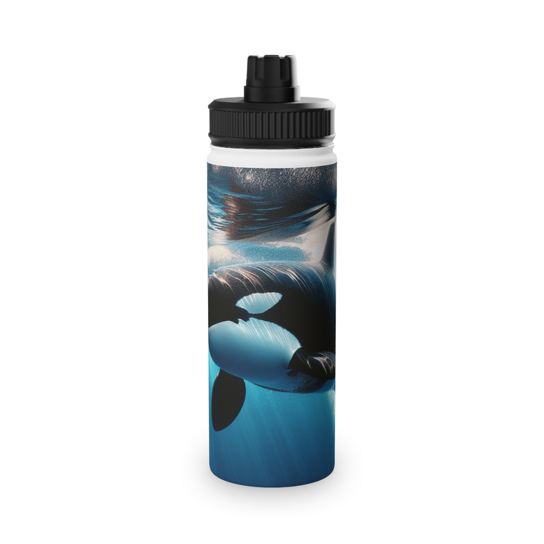 Ocean-Inspired Stainless Steel Water Bottle with Sports Lid