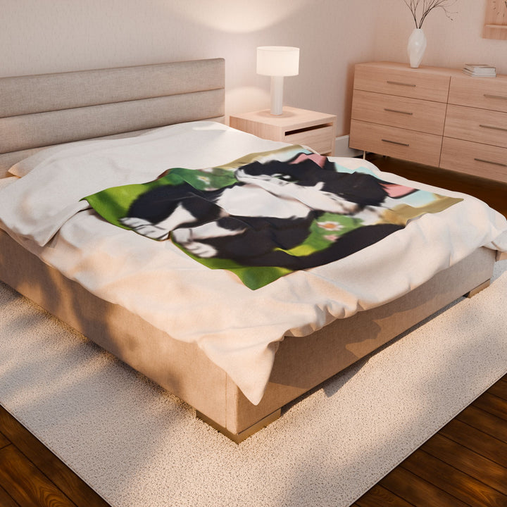 Velveteen Plush Blanket
