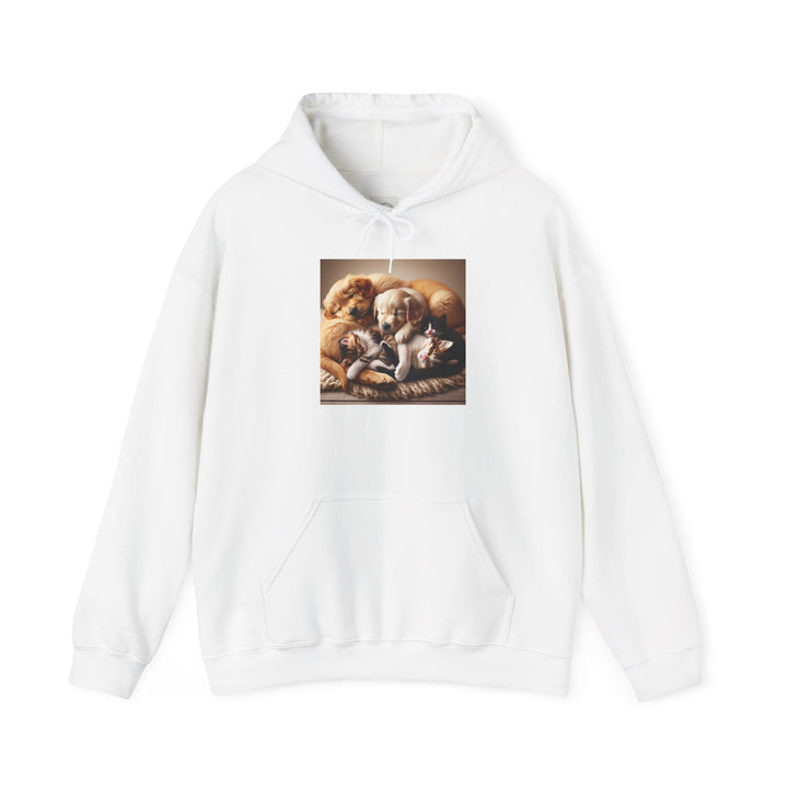 Cozy Pet Pals Hooded Sweatshirt - Animal Lover Gift, Cute Hoodie, Dog Cat Sweatshirt, Casual Wear, Cozy Gift