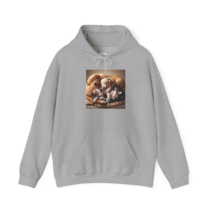 Cozy Pet Pals Hooded Sweatshirt - Animal Lover Gift, Cute Hoodie, Dog Cat Sweatshirt, Casual Wear, Cozy Gift