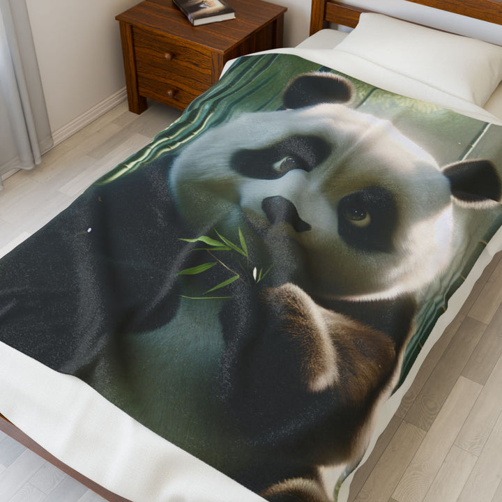 Velveteen Plush Blanket