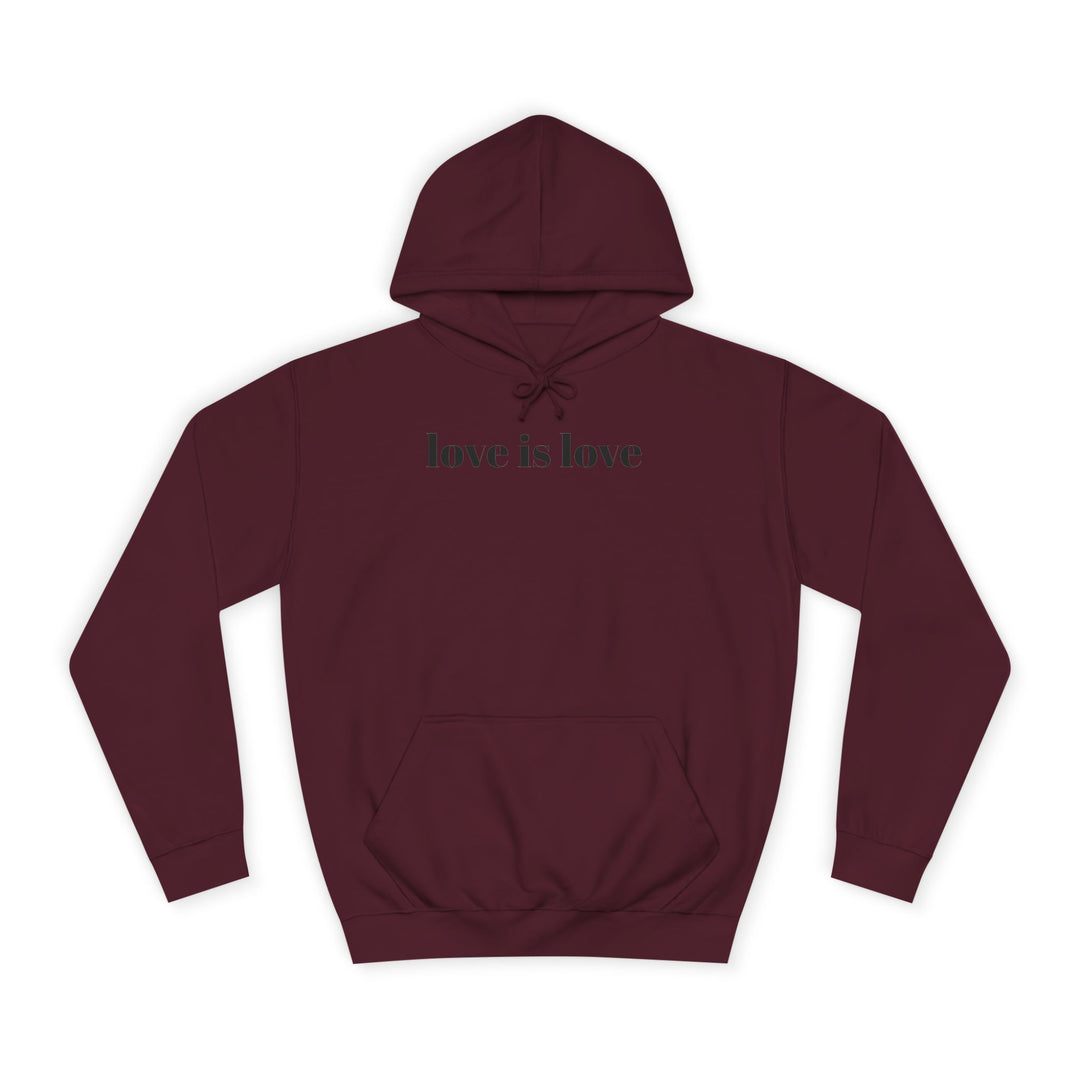 Unisex Love is Love Hoodie - Rainbow College Sweatshirt for Pride, LGBTQ+, Everyday Wear, Gift, Casual Style