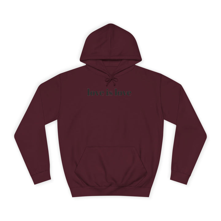 Unisex Love is Love Hoodie - Rainbow College Sweatshirt for Pride, LGBTQ+, Everyday Wear, Gift, Casual Style